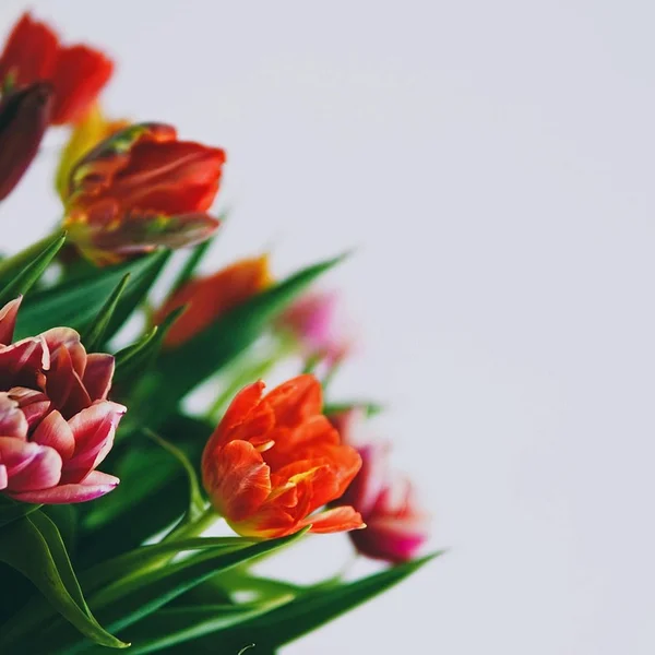 网络赌博捕鱼游戏